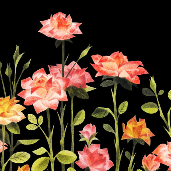 Rose Garden (black) l Limited Edition