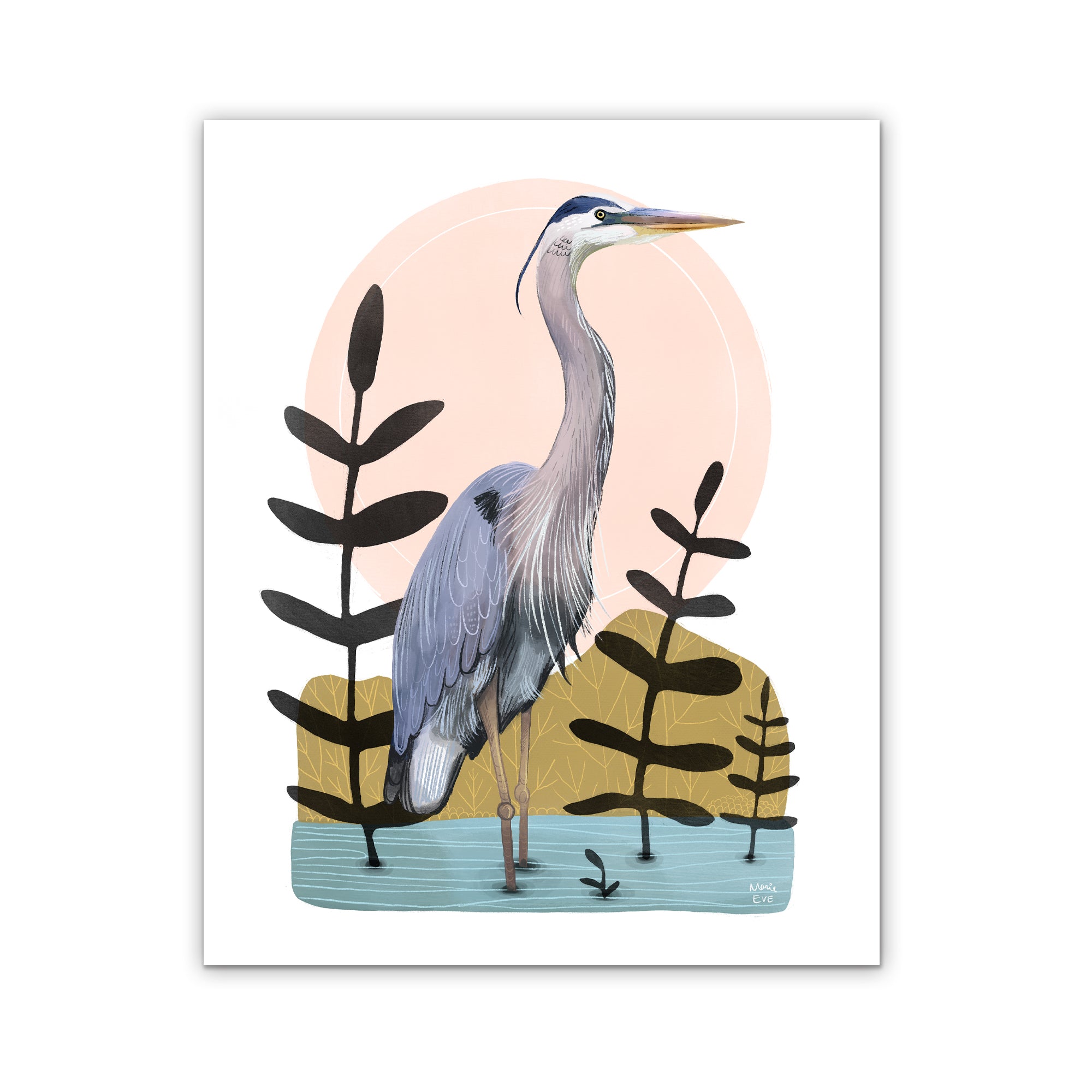 Voisin du Lac à l’Anguille