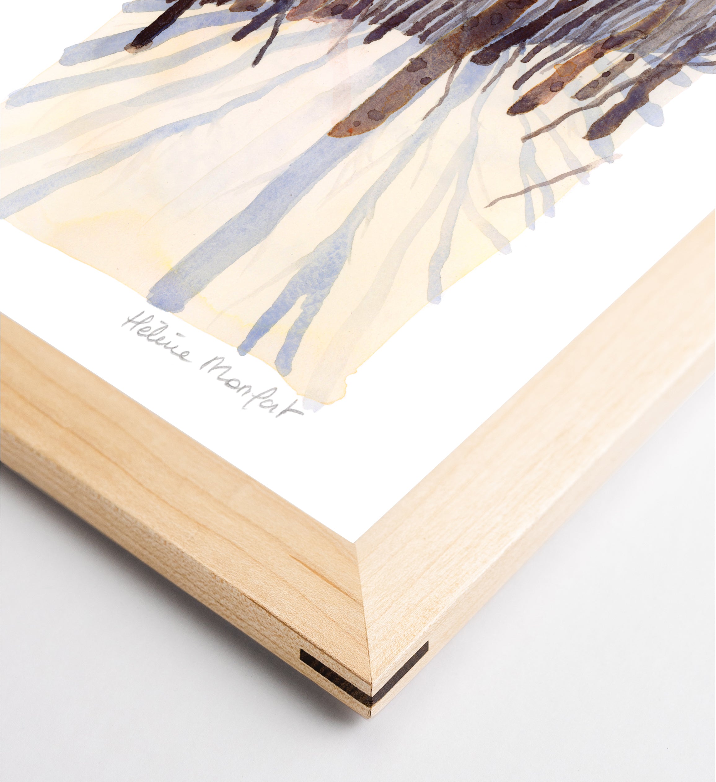 Golden Snow | LIMITED EDITION