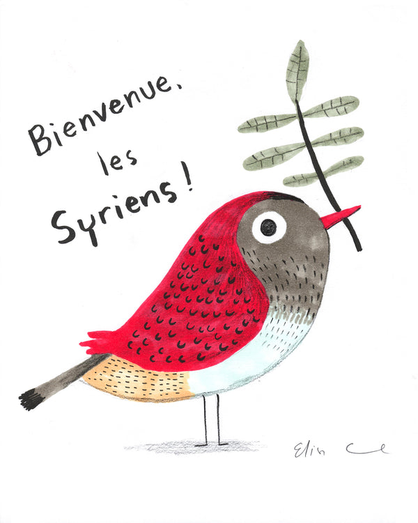 Oiseaux rouges Syriens | Original 